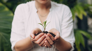 Photo of a woman holding seedling